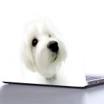 laptop sticker   FİNO