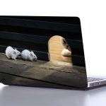 laptop sticker  HEMSTER